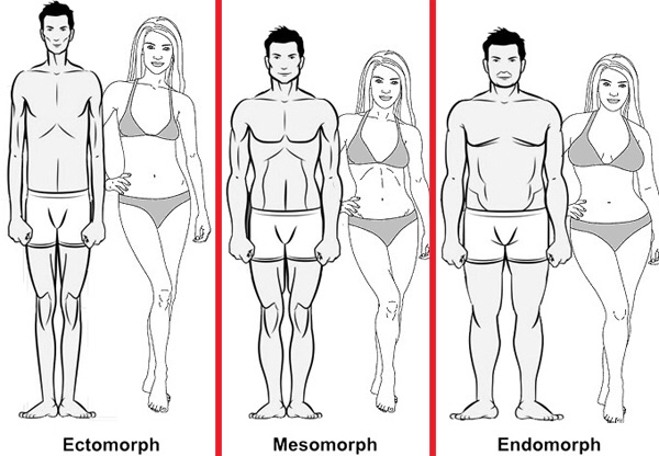 Body Type